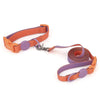 Ensemble Collier et Laisse pour Chien et Chat - Nylon Réfléchissant Ajustable