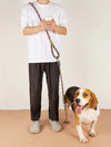 Laisse Réfléchissante en Nylon pour Chien – 235 cm Toutes Tailles