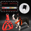 Harnais LED Lumineux pour Chien – Sécurité Nocturne Anti-Traction