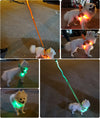 Harnais LED Lumineux pour Chien – Sécurité Nocturne Anti-Traction