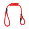 Laisse de Dressage Coulissante pour Chien – Nylon Tressé Anti-Traction