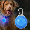 Pendentif LED Lumineux pour Collier Chien & Chat – Sécurité Nocturne Toutes Tailles