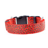 Collier LED Léopard pour Chien et Chat – Sécurité Nocturne Ajustable