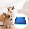 Piscine Pliable Antidérapante pour Chien et Chat – Baignoire PVC Sans Gonflage