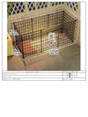Parc intérieur pour chien - barrière modulable pour petits chiens
