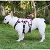 Harnais Anti-Traction pour Chien - Gilet Confortable et Sécurisé pour Promenades