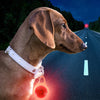 Pendentif LED Lumineux pour Collier Chien & Chat – Sécurité Nocturne Toutes Tailles