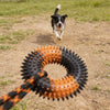 Jouet Anneau à Picots et Corde à Nœuds pour Grand Chien – Traction