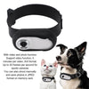 Caméra d'Action pour Chien – Collier Caméra HD 1080P Grand Angle 170°