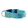 Collier LED Léopard pour Chien et Chat – Sécurité Nocturne Ajustable