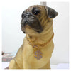 Collier Bijou pour Chien – Chaîne Plaquée Or ou Argent avec Pendentif