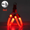 Harnais LED Lumineux pour Chien – Sécurité Nocturne Anti-Traction