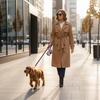 Distributeur Sacs - Balade urbaine chic avec Cocker