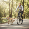 Laisse Mains Libres - Vélo avec Labrador