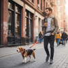Laisse Mains Libres - Balade urbaine détendue Beagle